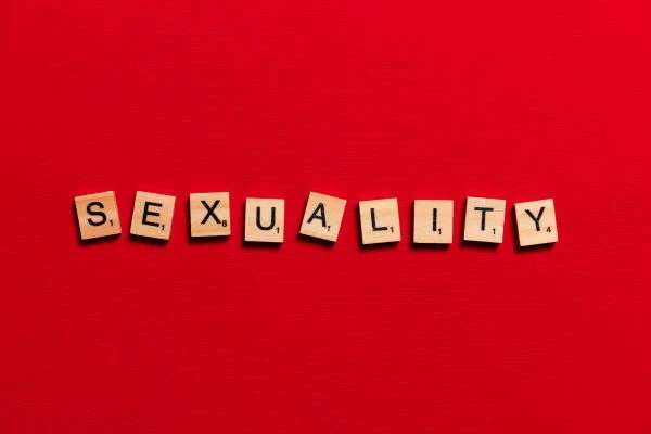 当麻雀教会我们感恩：一场微小生命带来的心灵震撼