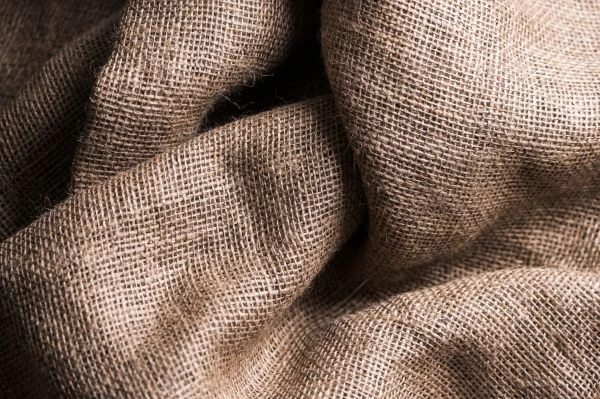 《大熊塔的故事》读后感：一场关于勇气与成长的灵魂对话