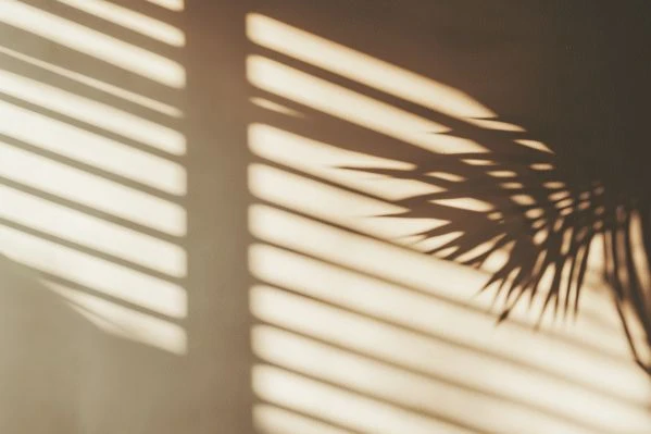 太阳和小鱼:一场关于生命与温度的永恒对话