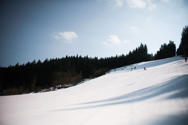 《穿越时空的智慧：中外名人故事如何点亮孩子的精神世界》