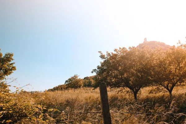 《好故事如何重塑我们的思维：一场跨越时空的心灵对话》