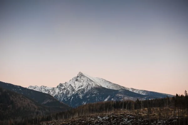 《万志敏故事：一个普通人如何用坚持改写命运》
