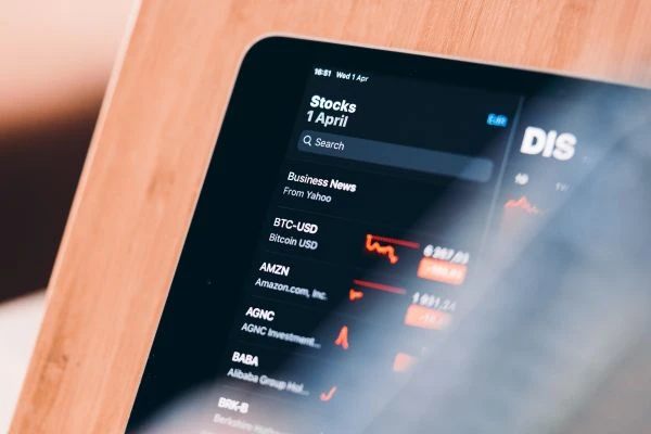 猎狗猎人的故事：一场关于忠诚与野性的灵魂对话