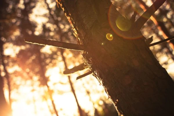 《故事藏文：在古老文字里打捞被遗忘的叙事珍珠》