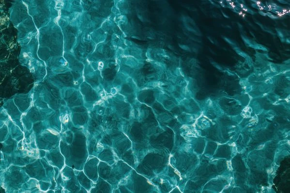 地球的故事：一部震撼心灵的人类文明启示录