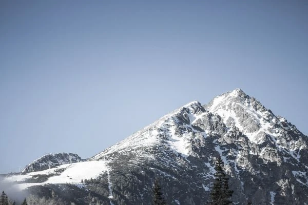 《那些照亮心灵的品德故事：20字读后感的深度思考》