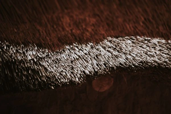 《千年智慧的回响：传统故事如何塑造我们的精神基因》