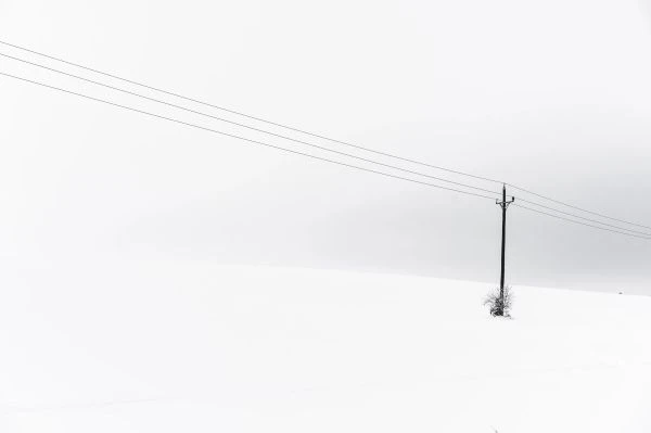 《从猴子下山看人性欲望：一场跨越千年的生存寓言》