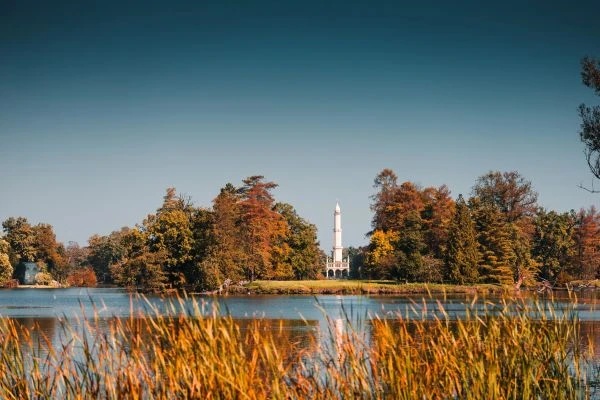 《在优秀与平庸的十字路口：那些改变命运的自我觉醒时刻》